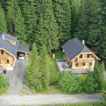 Almhaus&Almchalet Flattnitz Exteriör bild