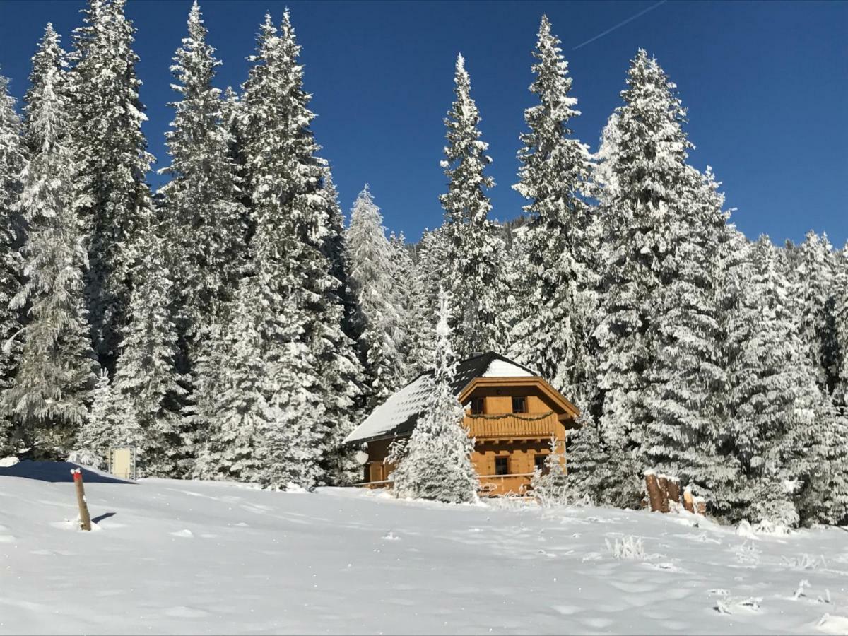 Almhaus&Almchalet Flattnitz Exteriör bild